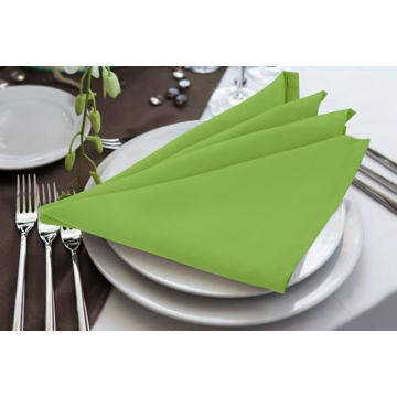 Apple Green Cloth Napkins - 24 Pack for Stylish Events