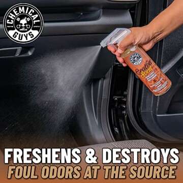 Chemical Guys AIR_301 Air Freshener Kit - New & Leather Scents