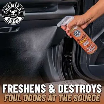 Chemical Guys AIR_301 Air Freshener Kit - New & Leather Scents
