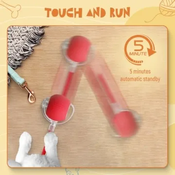 QITELL Interactive Cat Ball Toy for Indoor Cats and Dogs