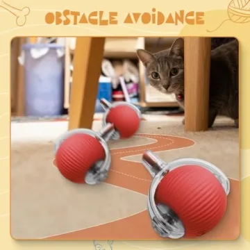 QITELL Interactive Cat Ball Toy for Indoor Cats and Dogs