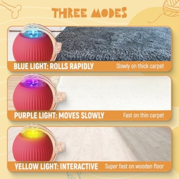 QITELL Interactive Cat Ball Toy for Indoor Cats and Dogs