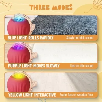 QITELL Interactive Cat Ball Toy for Indoor Cats and Dogs