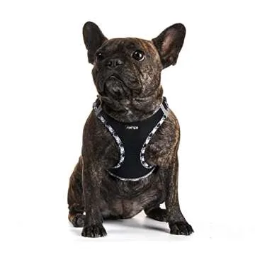 AMTOR Small Dog Harness with Leash Set, No Escape Easy Walk Puppy Harnesses for Training Walking, Step-in Reflective Soft Dogs Vest for XS S Medium Extra-Small Large Sized Dog(Blackwhite,M)