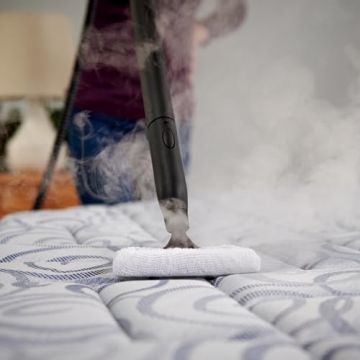 Wagner 915e Power Steamer for Deep Cleaning and Wallpaper Removal