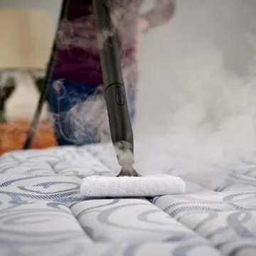 Wagner 915e Power Steamer for Deep Cleaning and Wallpaper Removal