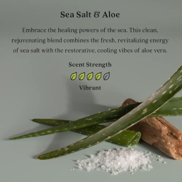 Enviroscent Non-Toxic Car Air Freshener Lasts 30 Days