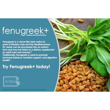 VH Nutrition Fenugreek+ Lactation Supplement for Nursing Moms