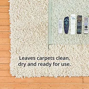 Arm & Hammer Pet Fresh Dry Carpet Cleaner for Odors