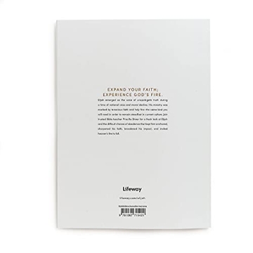 Elijah: Faith and Fire - A Deep Bible Study Resource