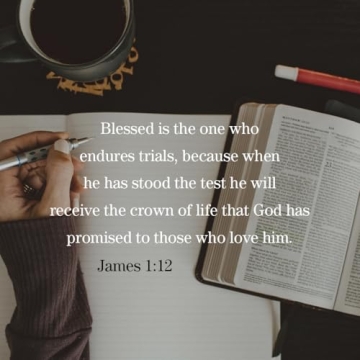 Elijah: Faith and Fire - A Deep Bible Study Resource