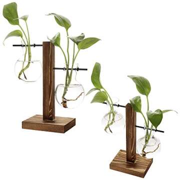 Stand Glass Planter Bulb Vase,ADSRO Glass Flowerpot with Vintage Wood Frame Holder for Hydroponic Plant Family Garden Wedding Decoration - (2 Bulb Vase)