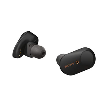 Sony WF-1000XM3 Wireless Earbuds with Noise Cancellation