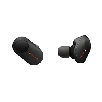 Sony WF-1000XM3 Wireless Earbuds with Noise Cancellation