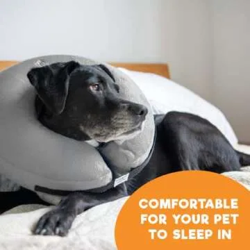 Bencmate Inflatable Dog Collar - Comfort & Vision Friendly