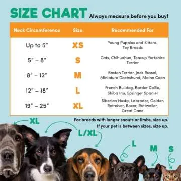 Bencmate Inflatable Dog Collar - Comfort & Vision Friendly