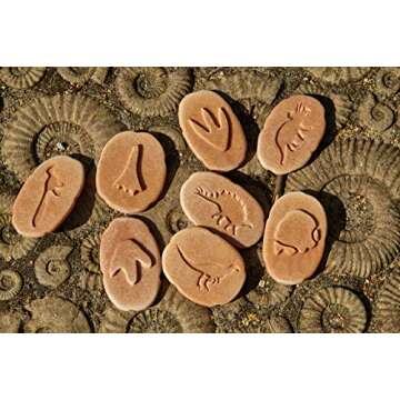 Yellow Door Let's Investigate Dinosaur Footprints