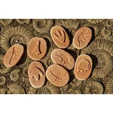 Yellow Door Let's Investigate Dinosaur Footprints