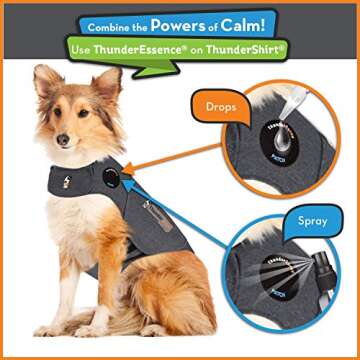 ThunderEssence Dog Calming Essential Oils | All-Natural Lavender, Chamomile and Egyptian Geranium | Vet Recommended |4 FL OZ. Spray