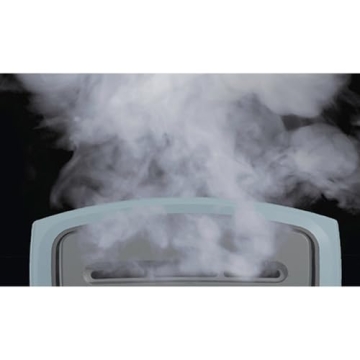 BLACK+DECKER Handheld Steamer - Quick Wrinkle Removal