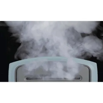 BLACK+DECKER Handheld Steamer - Quick Wrinkle Removal