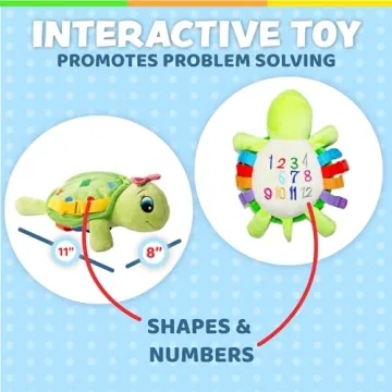 Belle Turtle Buckle Toy for Kids Motor Skills Color Learning
