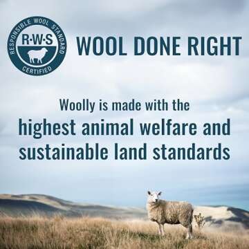 Men's MerinoAire Boxer Briefs - Ultralight & Stink Free