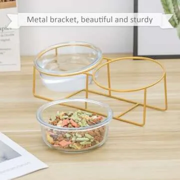 Elevated Dog Bowls for Small Dogs - 2 Glass Bowls with Gold Iron Stand - Raised Pet Dish Set for Food and Water - Comfortable Feeding