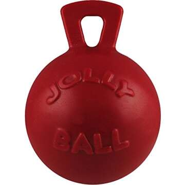 Jolly Pets Tug-n-Toss - Heavy Duty Chew Ball w/ Handle (Red, 8")