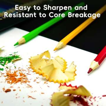 Vibrant 48 Count Colored Pencils Set for Artists