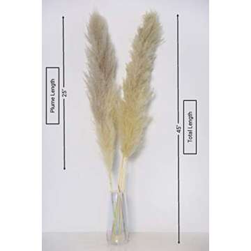 YC's CHOICE Dried Pampas Grass Decor,Raw Color,45" Tall Plants for Wedding Bouquets Arrangements or Boho Home Decoration,Rustic Living Room Decor,3 Stems