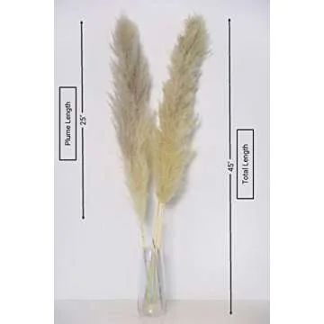 Dried Pampas Grass Decor - 45" Tall, Elegant & Versatile