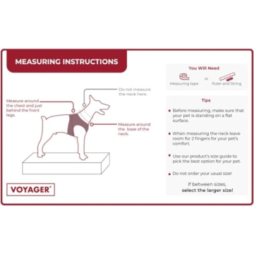 Voyager Mesh Dog Harness and Leash Combo for All Breeds