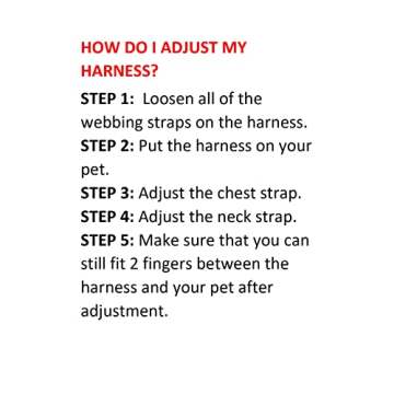 Voyager Mesh Dog Harness and Leash Combo for All Breeds