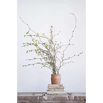 Creative Co-Op Round Terracotta Pot