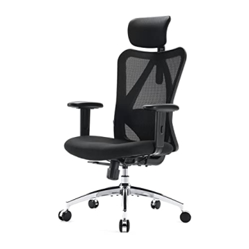 SIHOO M18 Ergonomic Chair Adjustable Support for Comfort