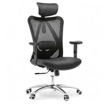 SIHOO M18 Ergonomic Chair Adjustable Support for Comfort