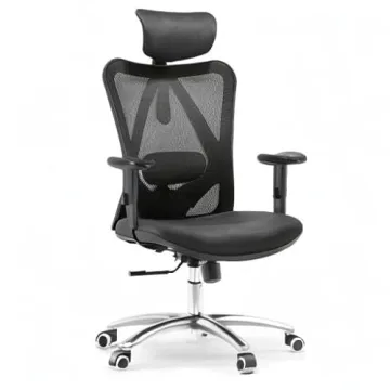 SIHOO M18 Ergonomic Chair Adjustable Support for Comfort