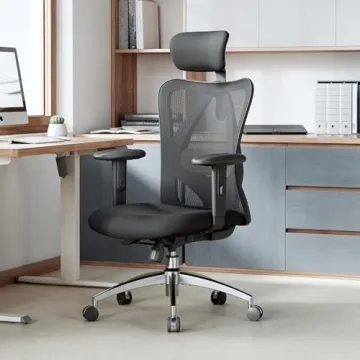 SIHOO M18 Ergonomic Chair Adjustable Support for Comfort