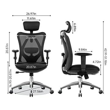 SIHOO M18 Ergonomic Chair Adjustable Support for Comfort