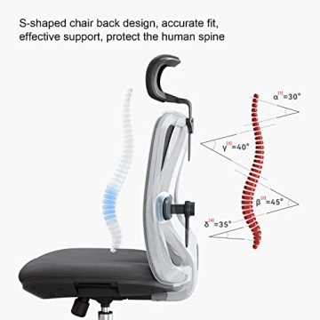 SIHOO M18 Ergonomic Chair Adjustable Support for Comfort