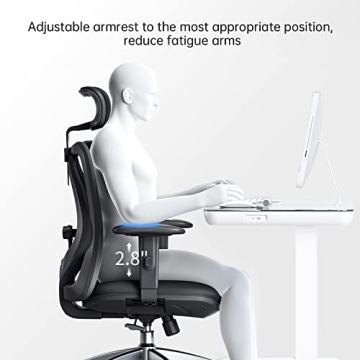 SIHOO M18 Ergonomic Chair Adjustable Support for Comfort