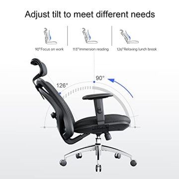 SIHOO M18 Ergonomic Chair Adjustable Support for Comfort