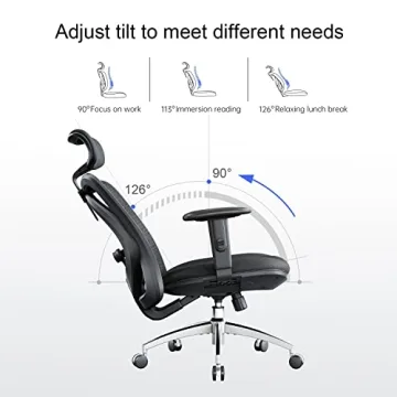 SIHOO M18 Ergonomic Chair Adjustable Support for Comfort