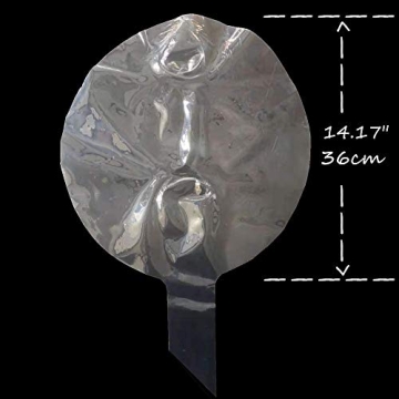 Stunning BoBo Clear Bubble Balloons - 10 Pack Decorative Party Supplies