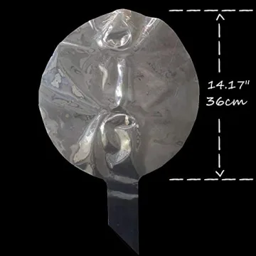 Stunning BoBo Clear Bubble Balloons - 10 Pack Decorative Party Supplies