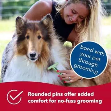 Coastal Pet Safari Single Row Undercoat Rake - Gentle Dematting and Deshedding Tool for Dogs, Pet Grooming Comb