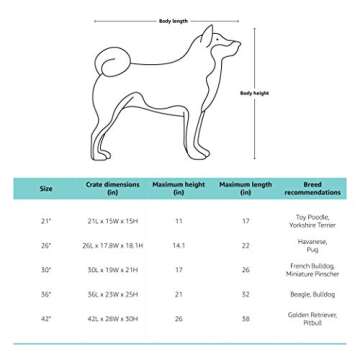 Amazon Basics Folding Portable Soft Pet Dog Crate Carrier Kennel, 36 x 24 x 24 Inches, Blue