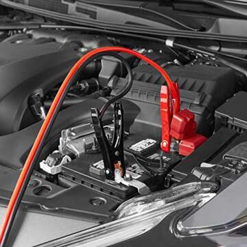 Amazon Basics Jumper Cable for Car Battery, 10 Gauge, 12 Foot