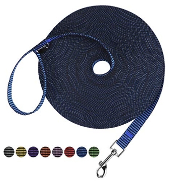 Hi Kiss Dog/Puppy Obedience Recall Training Lead - 30ft Nylon Leash for Play and Outdoors